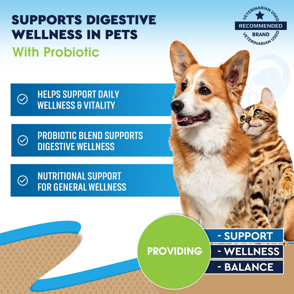 Beloved Pets Digestive Support with Probiotics for Dogs and Cats – photo 6 of 6