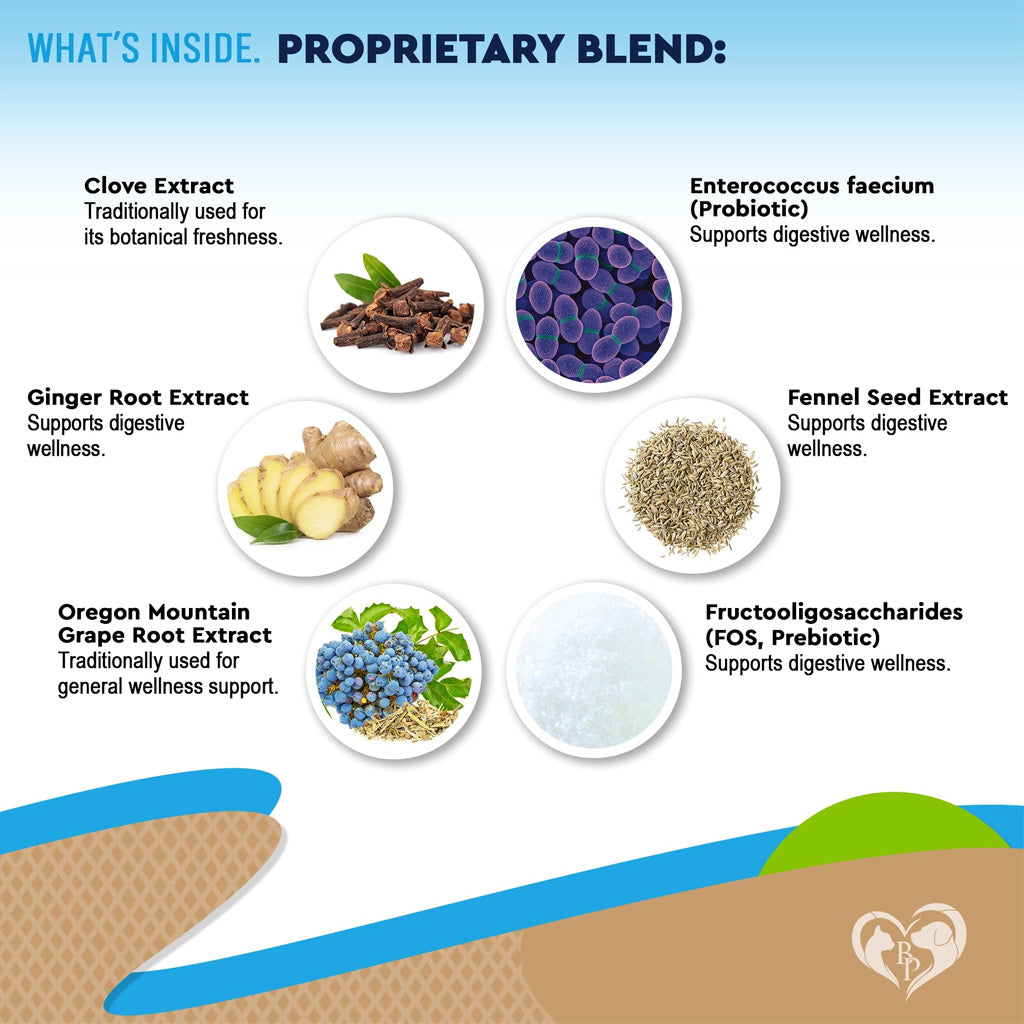 Beloved Pets Digestive Support with Probiotics for Dogs and Cats – photo 5 of 6