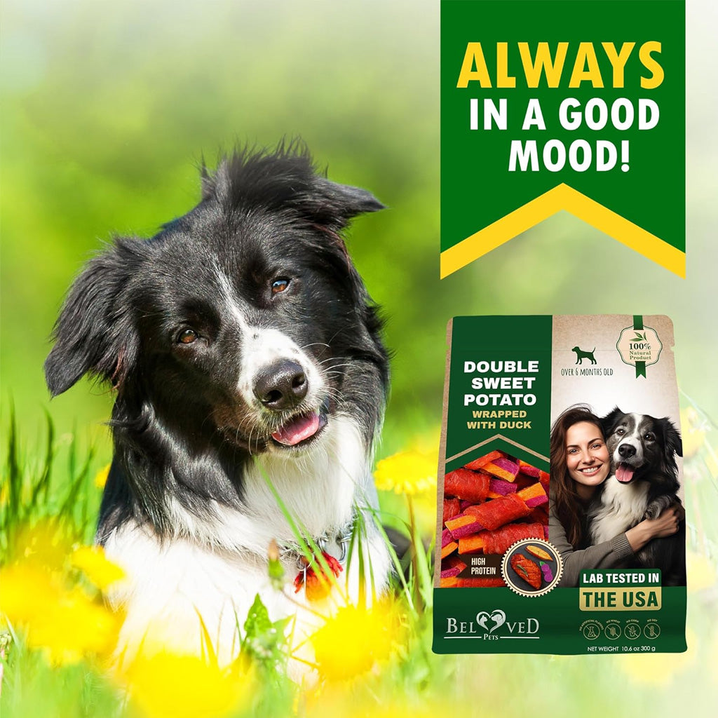 Beloved Pets Double Sweet Potato Wrapped with Duck Dog Treats – photo 3 of 8