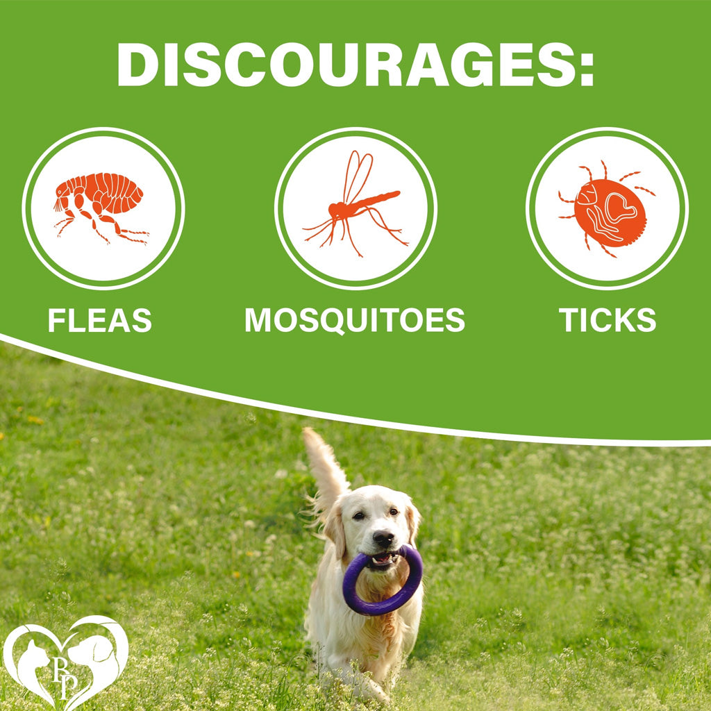 Beloved Pets Flea and Tick Support Chicken Flavor Chewables for Dogs – photo 7 of 7