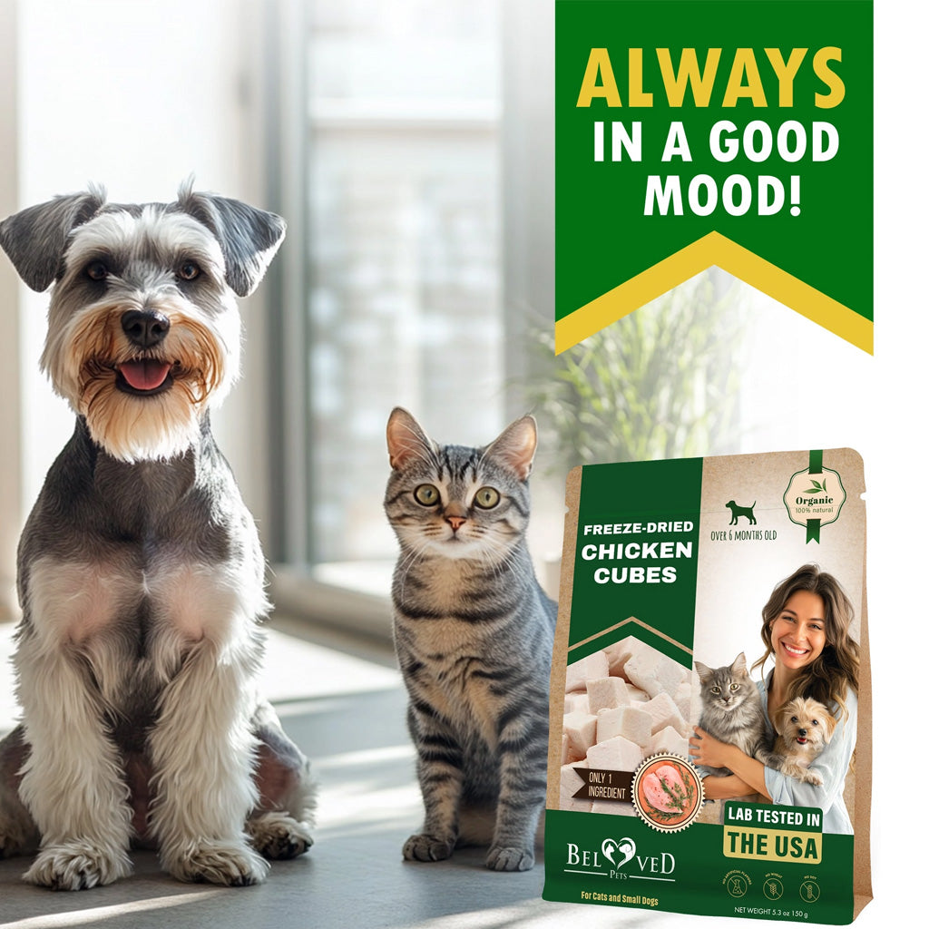 Beloved Pets Freeze-Dried Chicken Cubes Treats for Dogs and Cats – photo 2 of 6