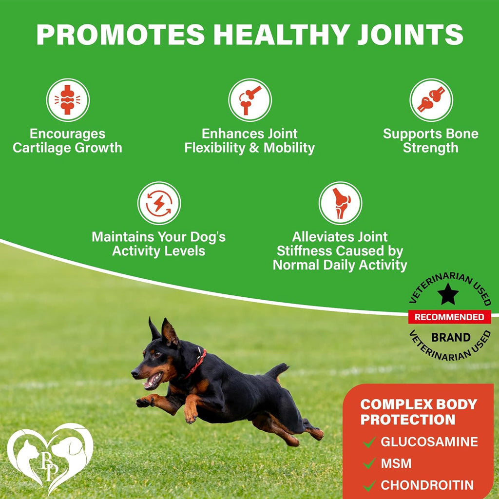 Beloved Pets Glucosamine Chews Hip and Joint Bacon – photo 8 of 8