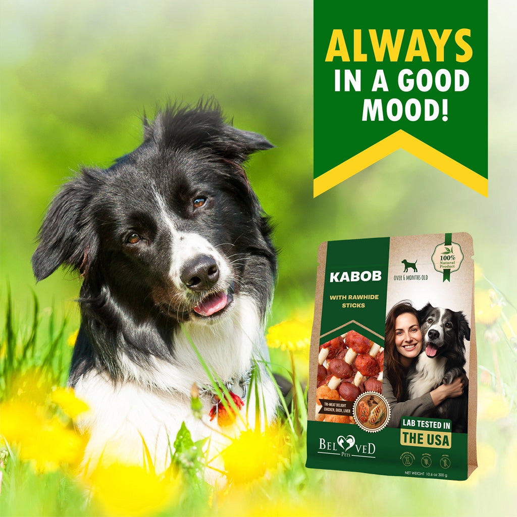 Beloved Pets Kabob Rawhide Sticks with Chicken Duck and Liver Dog Treats – photo 2 of 8