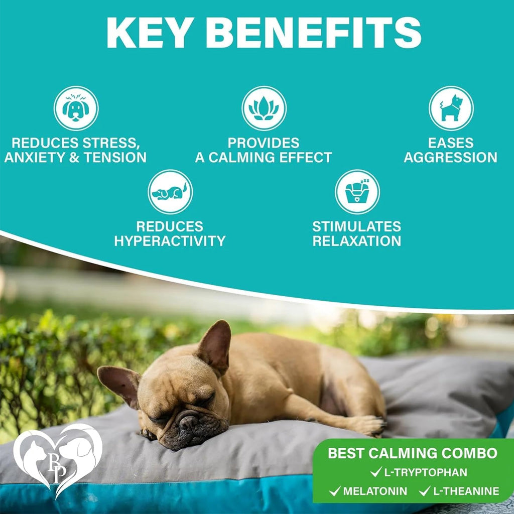 Beloved Pets Melatonin Calming Chews Bacon – photo 3 of 8