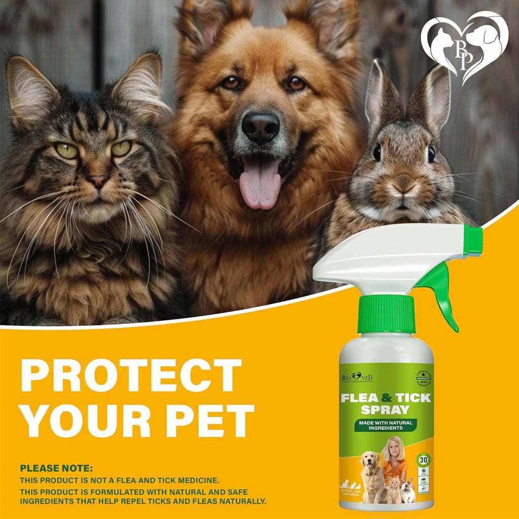 Beloved Pets Natural Flea and Tick Home Spray for Dogs and Cats – photo 2 of 7