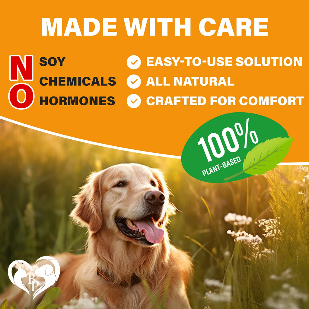 Beloved Pets Flea and Tick Support plus Multivitamin Soft Chews for Dogs – photo 3 of 7