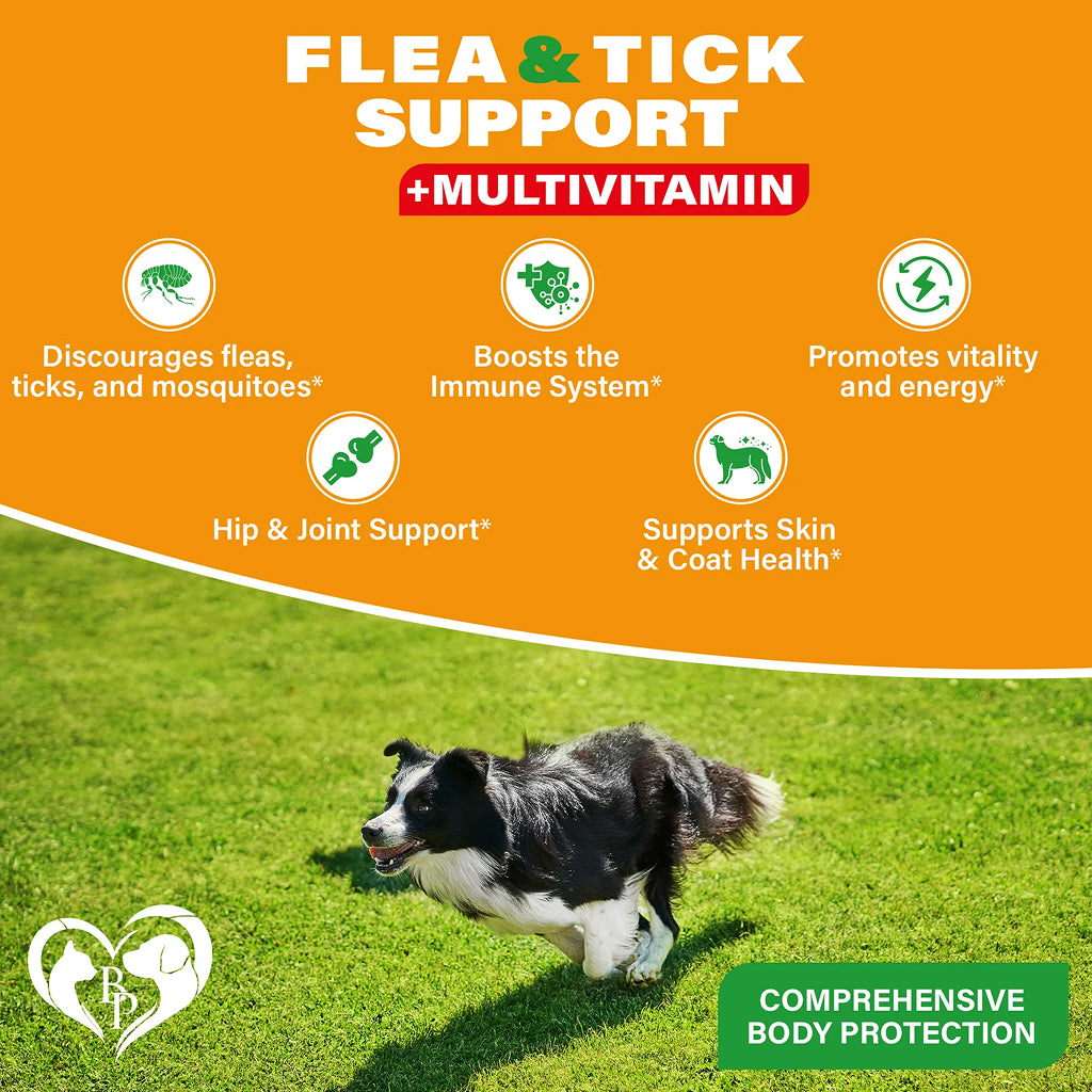 Beloved Pets Flea and Tick Support plus Multivitamin Soft Chews for Dogs – photo 7 of 7