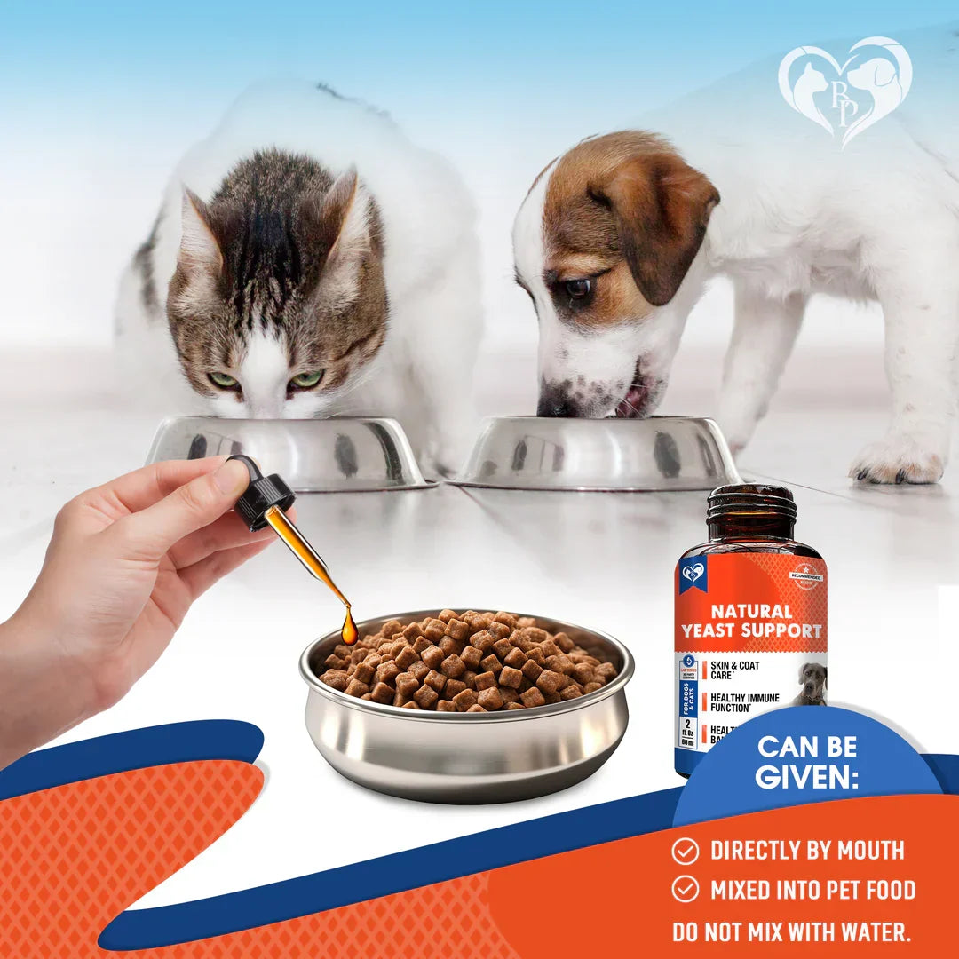 Beloved Pets Natural Yeast Support Liquid Supplement for Dogs and Cats – photo 7 of 7