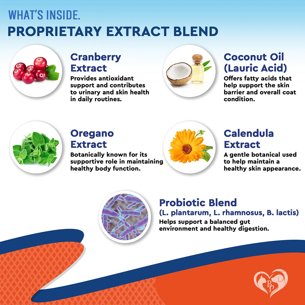 Beloved Pets Natural Yeast Support Liquid Supplement for Dogs and Cats – photo 2 of 7