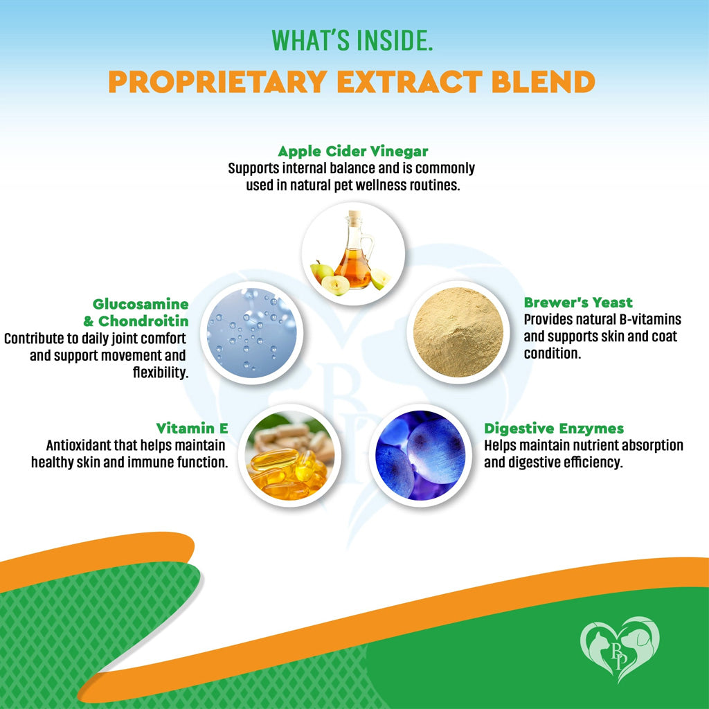 Beloved Pets Oral Flea and Tick Support Multivitamin Drops for Dogs and Cats – photo 6 of 7