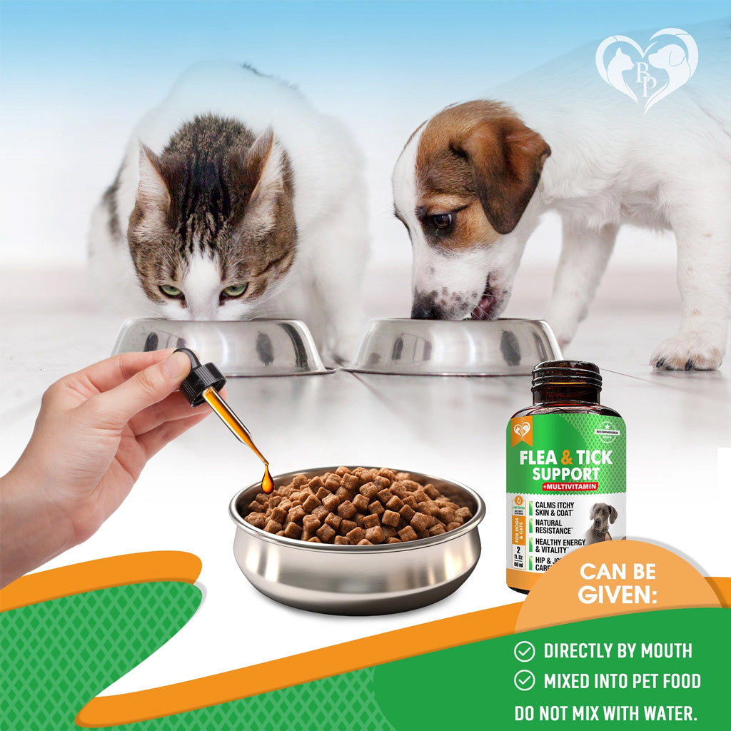 Beloved Pets Oral Flea and Tick Support Multivitamin Drops for Dogs and Cats – photo 4 of 7