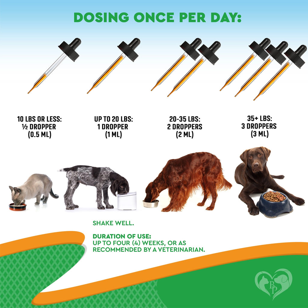 Beloved Pets Oral Flea and Tick Support Multivitamin Drops for Dogs and Cats – photo 3 of 7