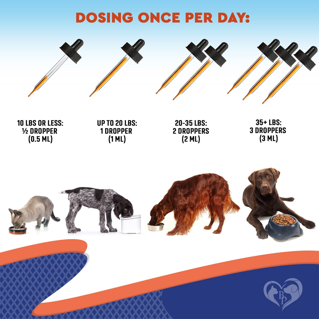 Beloved Pets Probiotic and Prebiotic Plus Enzymes Supplement for Dogs and Cats – photo 3 of 6