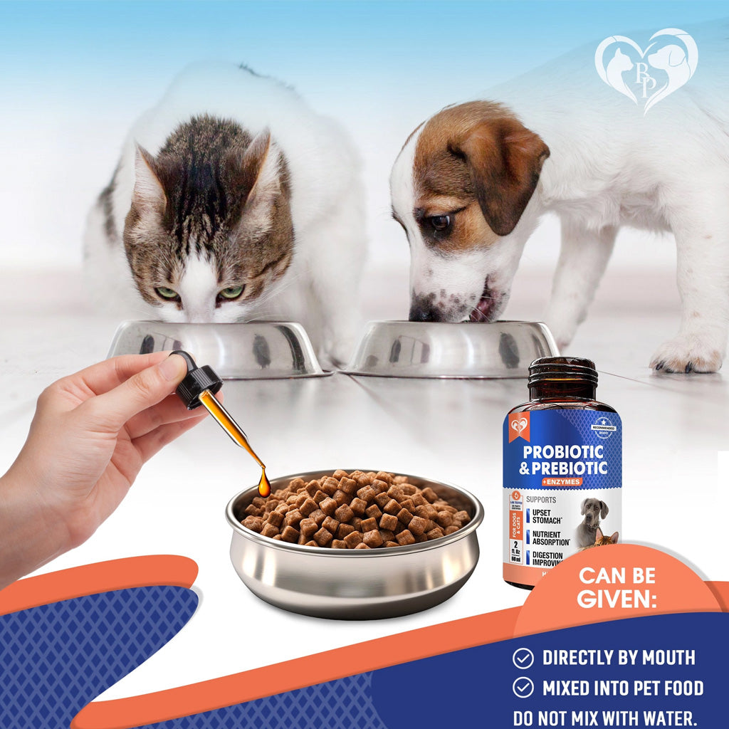 Beloved Pets Probiotic and Prebiotic Plus Enzymes Supplement for Dogs and Cats – photo 4 of 6