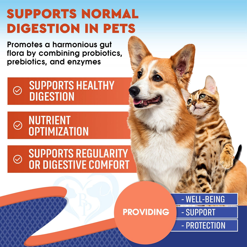 Beloved Pets Probiotic and Prebiotic Plus Enzymes Supplement for Dogs and Cats – photo 6 of 6