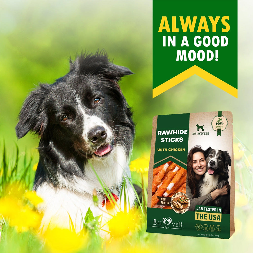 Beloved Pets Rawhide Sticks with Chicken Dog Chews – photo 2 of 8