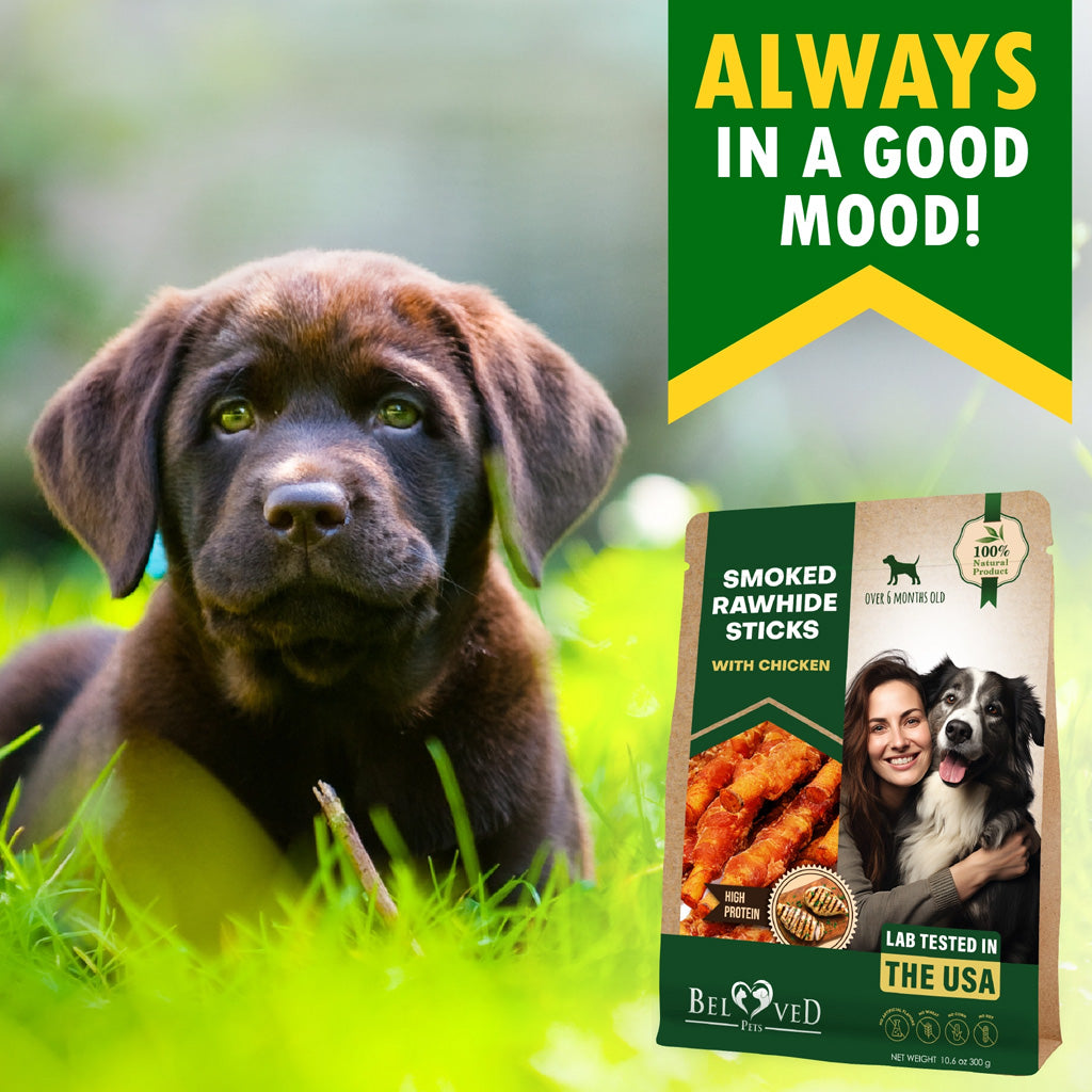 Beloved Pets Smoked Rawhide Sticks with Chicken Dog Chew Treats – photo 2 of 7
