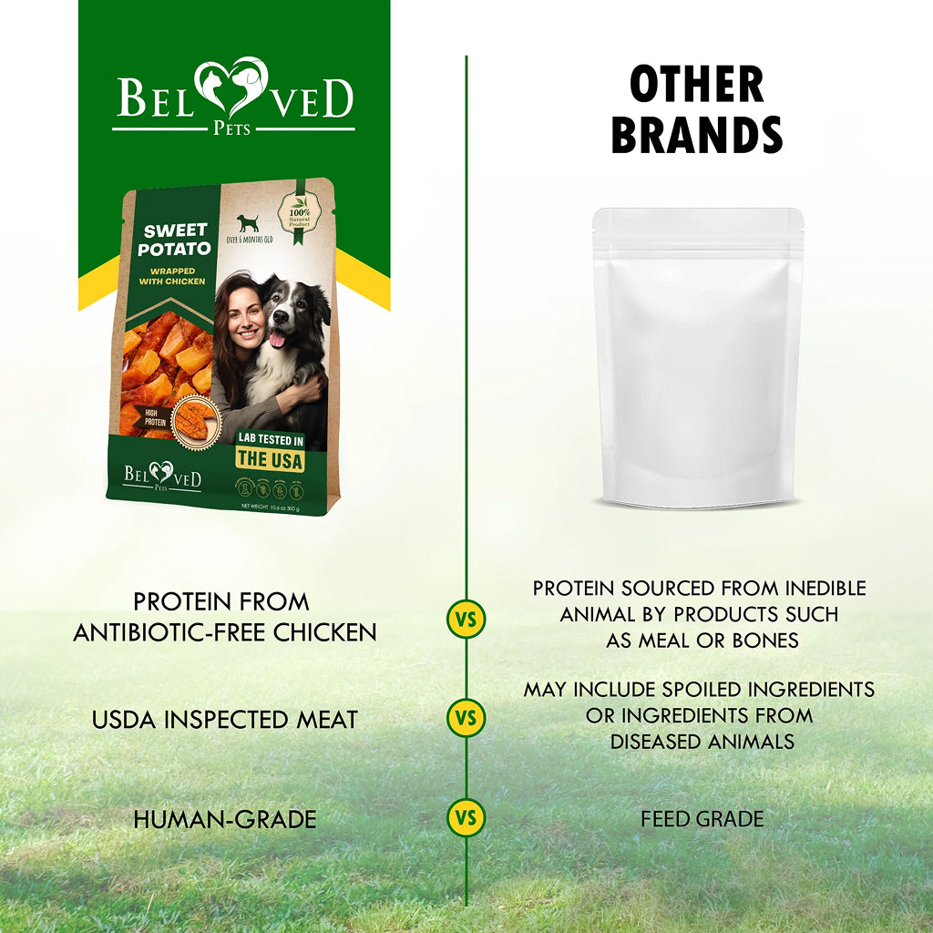 Beloved Pets Sweet Potato Wrapped with Chicken Dog Treats – photo 7 of 7