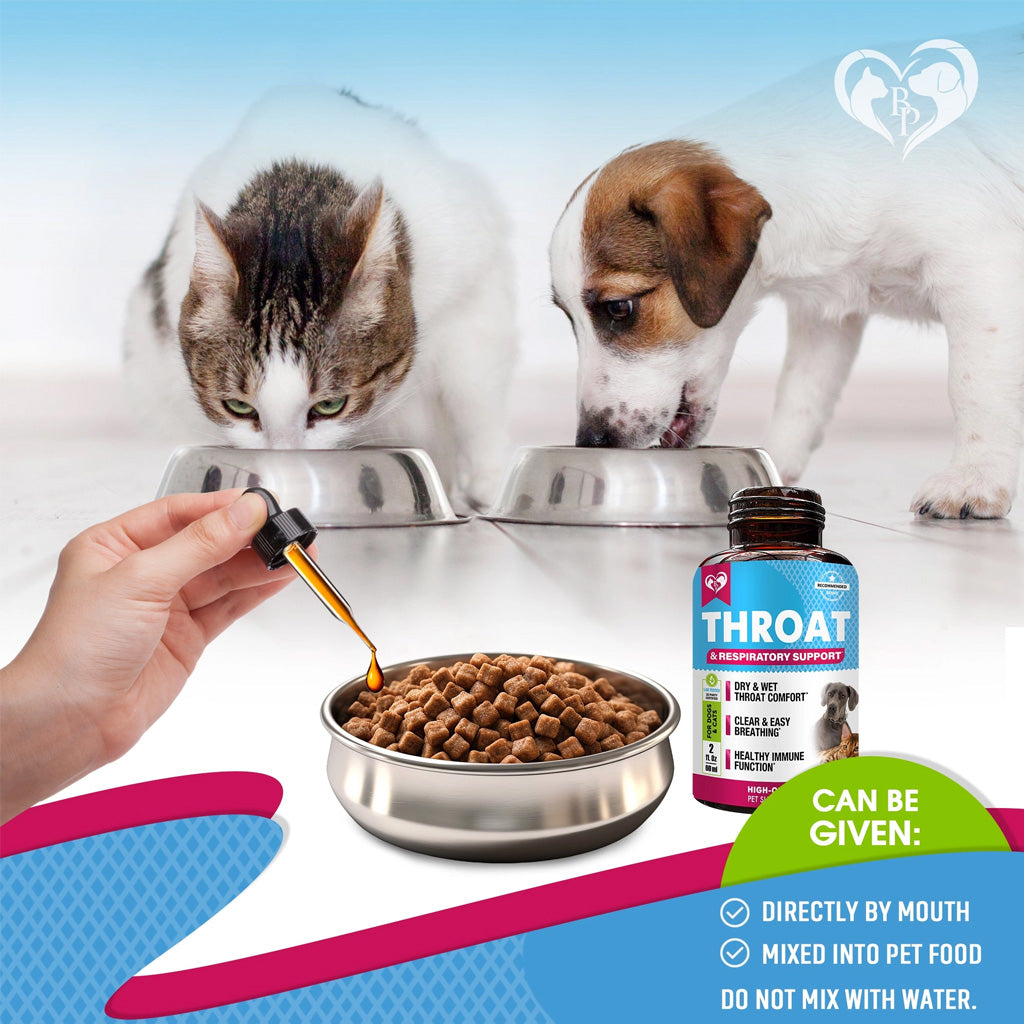 Beloved Pets Throat and Respiratory Support for Dogs and Cats – photo 4 of 7