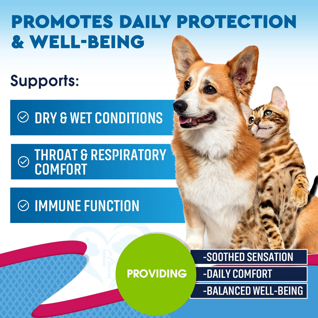 Beloved Pets Throat and Respiratory Support for Dogs and Cats – photo 7 of 7