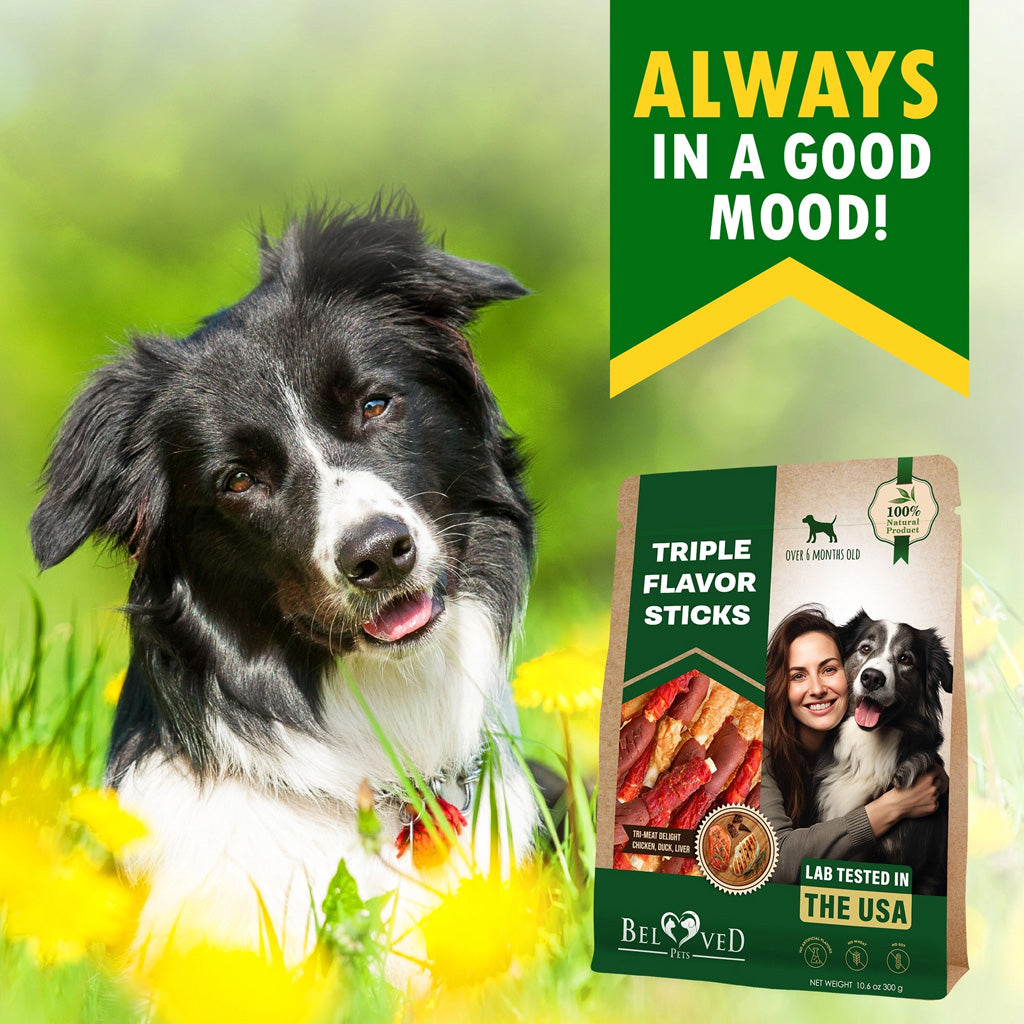 Beloved Pets Triple Flavor Dog Treats Chicken Duck Liver – photo 2 of 6