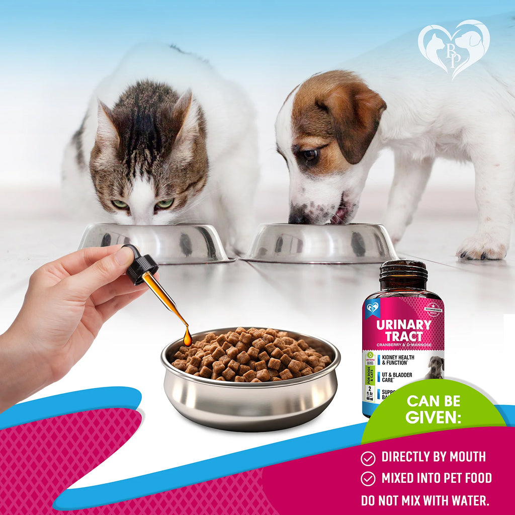 Beloved Pets Urinary Tract Support with Cranberry Drops for Dogs and Cats – photo 6 of 8