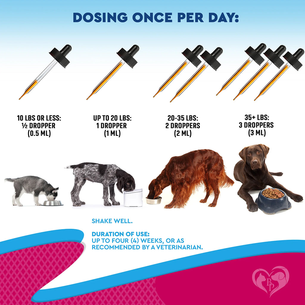 Beloved Pets Urinary Tract Support with Cranberry Drops for Dogs and Cats – photo 3 of 8