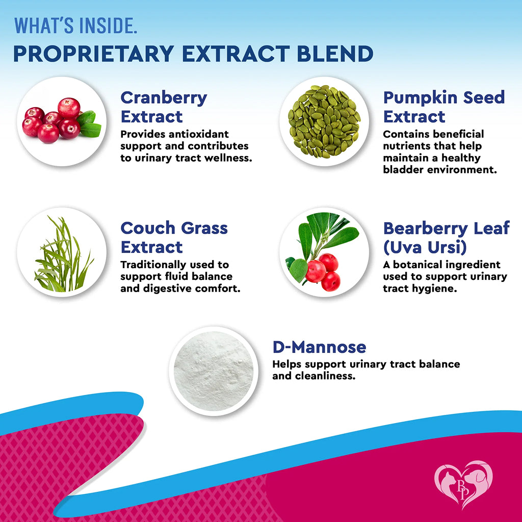 Beloved Pets Urinary Tract Support with Cranberry Drops for Dogs and Cats – photo 4 of 8