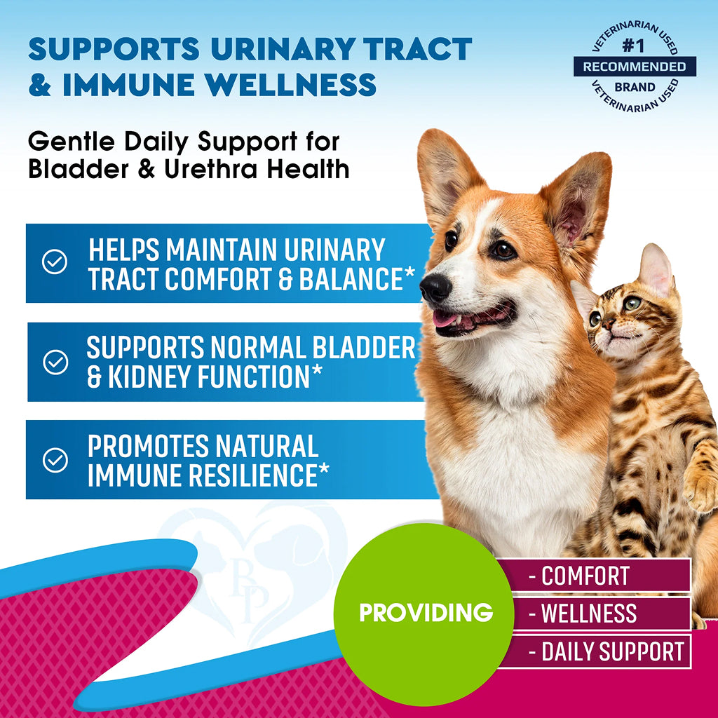 Beloved Pets Urinary Tract Support with Cranberry Drops for Dogs and Cats – photo 7 of 8
