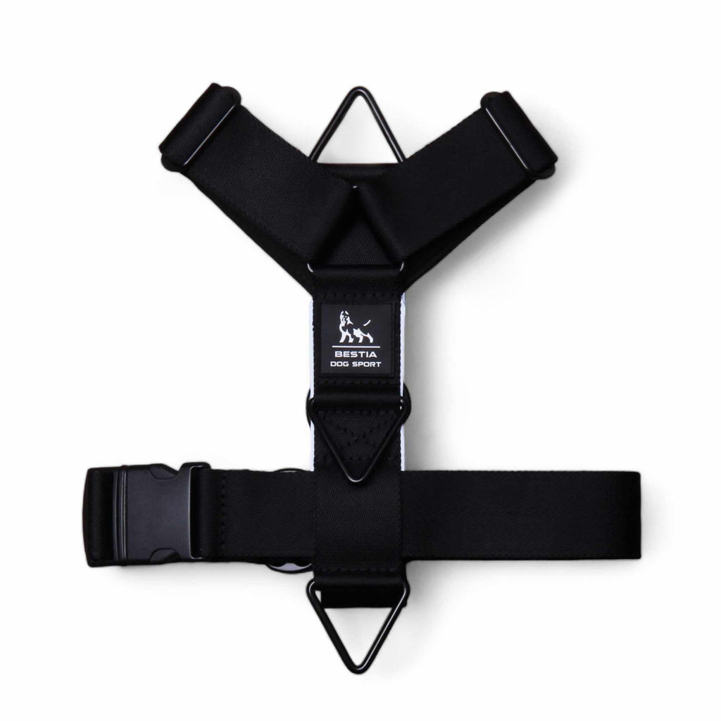 Bestia Dog Sport GripPro basic dog harness, harness on dog