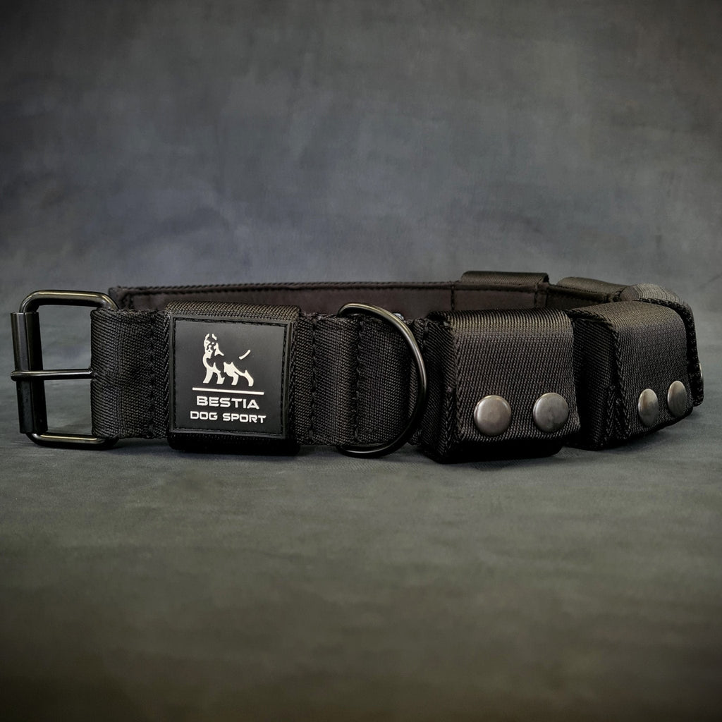 Bestia Dog Sport weighted dog training collar, removable weights detail