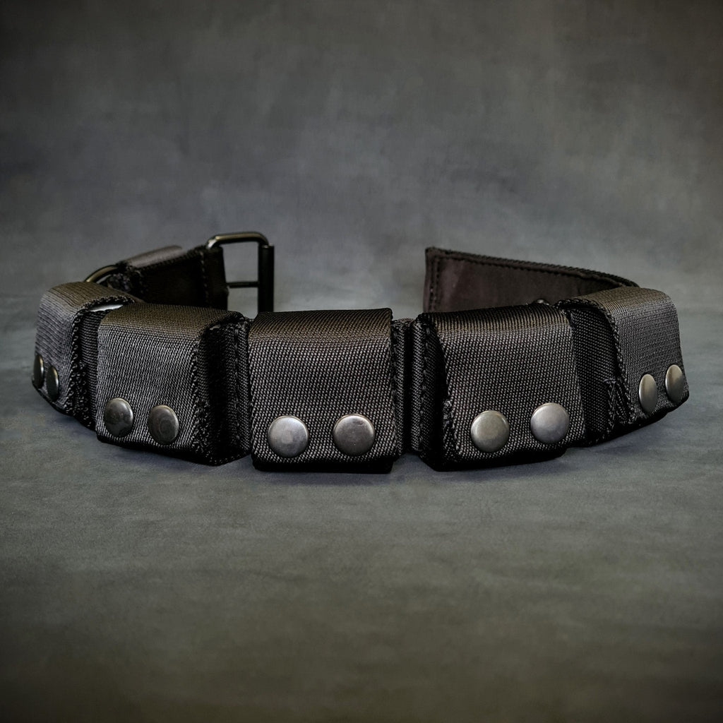 Bestia Dog Sport weighted dog training collar, leather and metal construction close-up