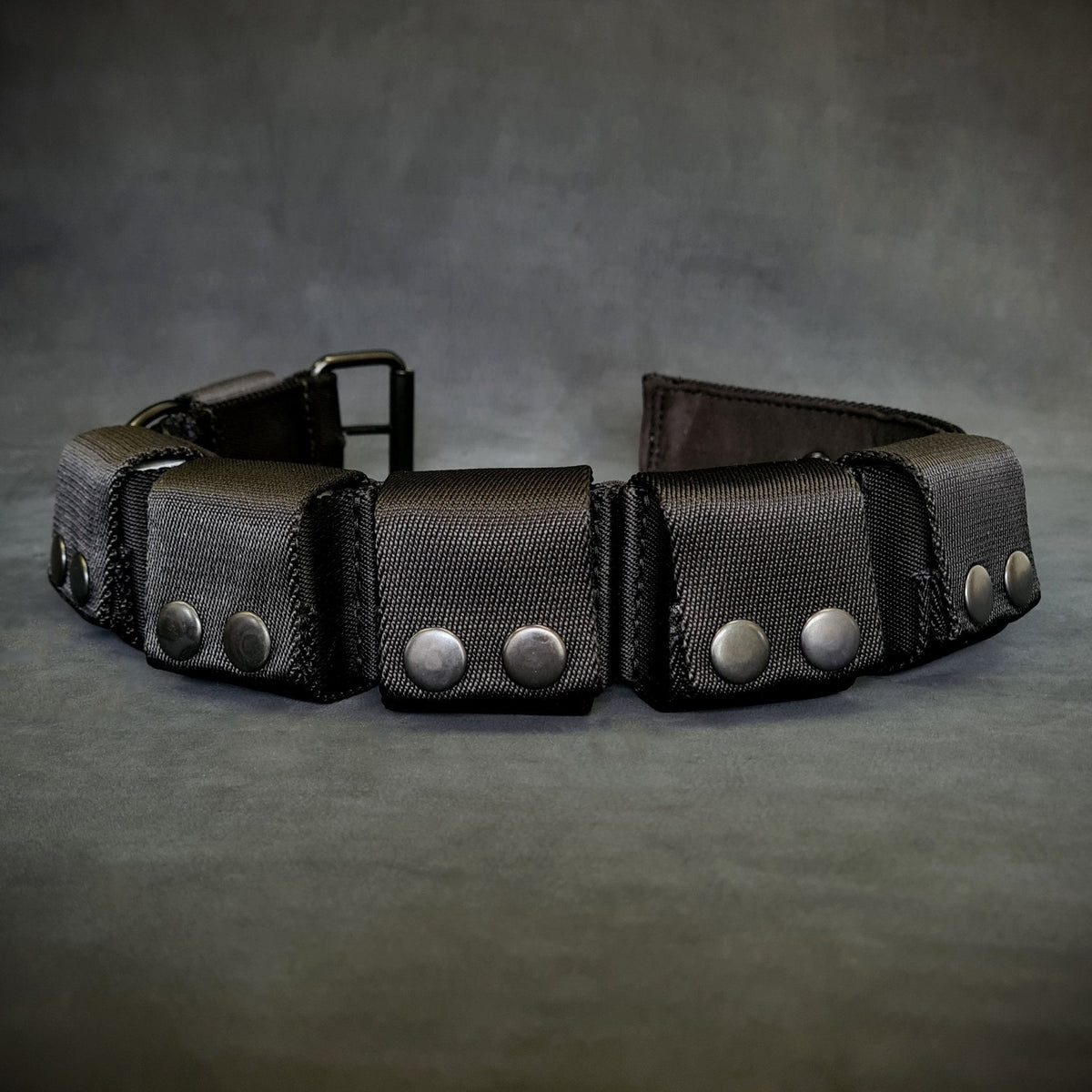 Bestia Dog Sport weighted dog training collar, leather and metal construction close-up