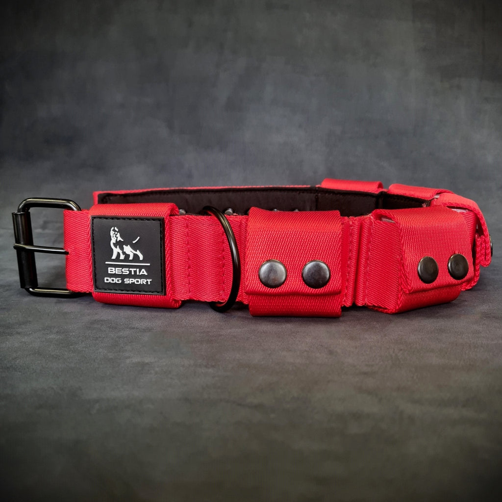 Bestia Dog Sport weighted dog training collar, training in use