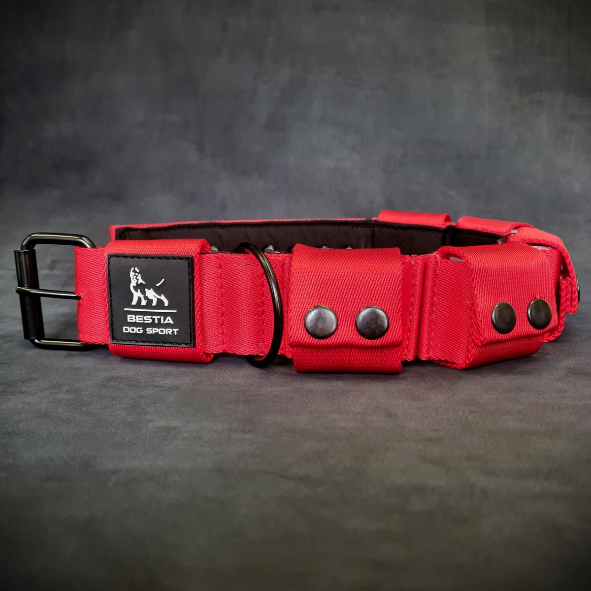 Bestia Dog Sport weighted dog training collar, training in use