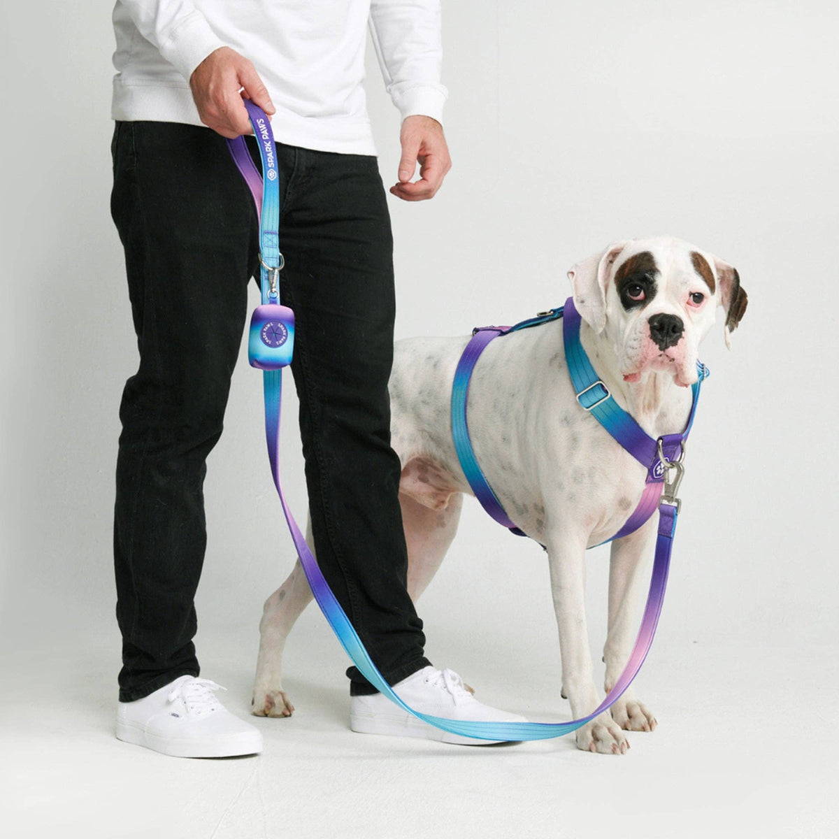 Comfort Control Dog Leash – 90s Retro, OS – alternate view 5