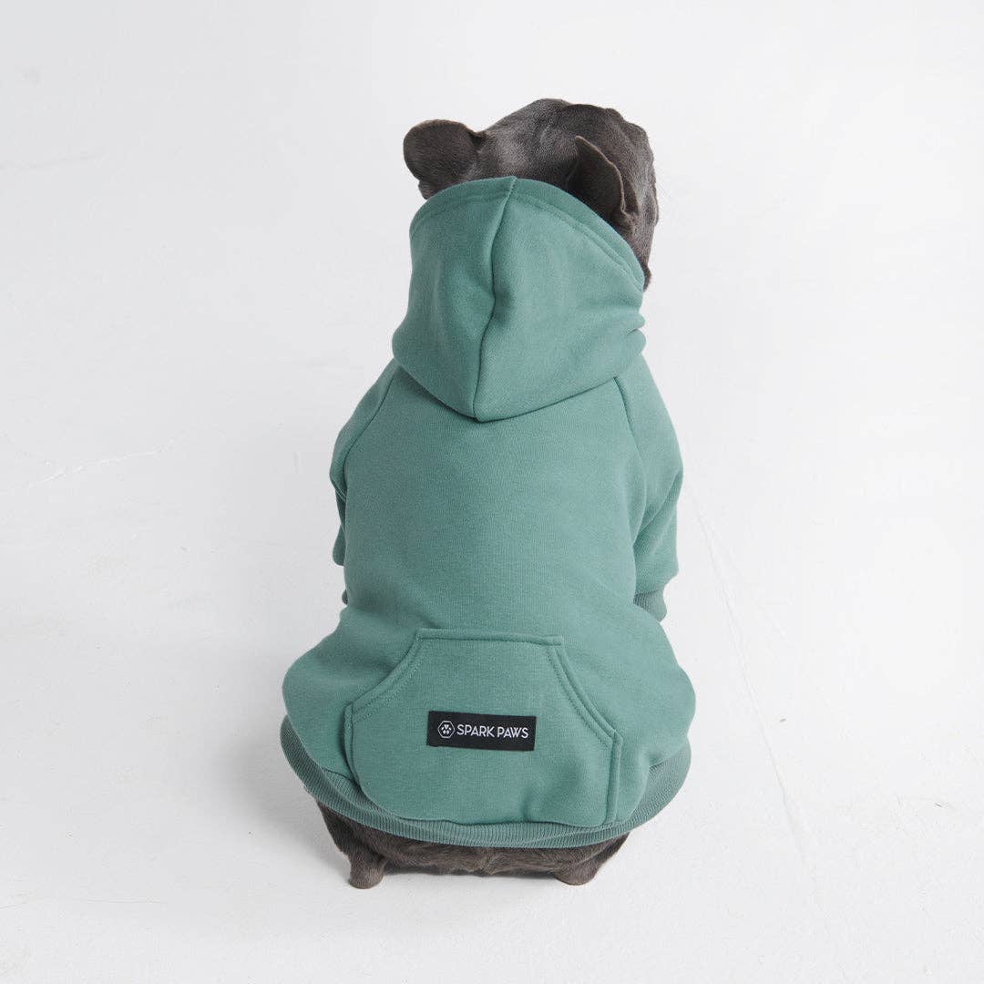 Essential Dog Hoodie - Teal – alternate view 7