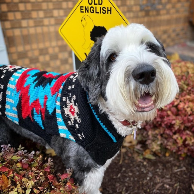 Black Southwest Dog Sweater Hand Knit – photo 9 of 9