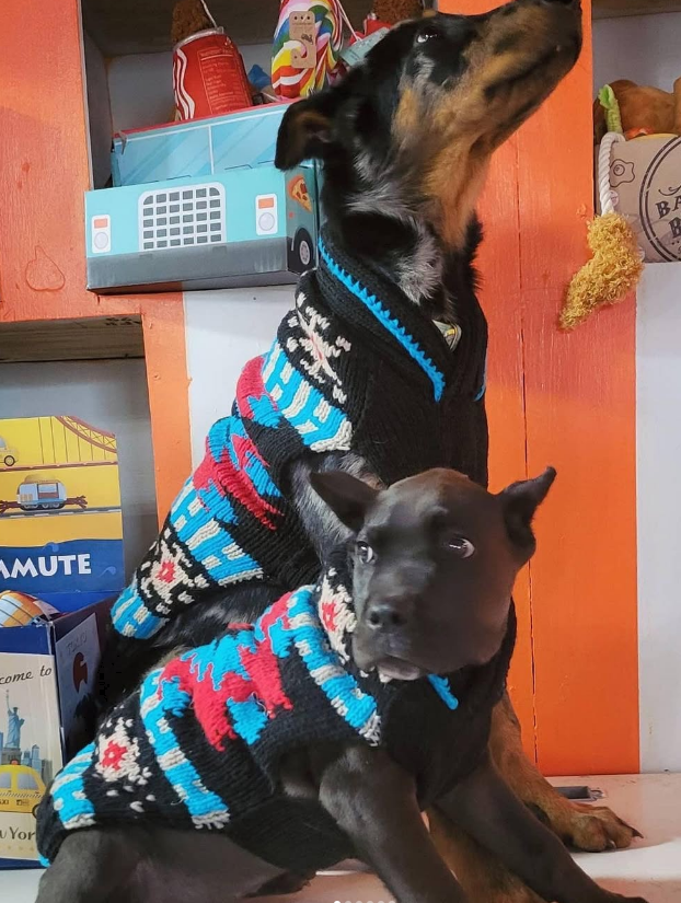 Black Southwest Dog Sweater Hand Knit – photo 8 of 9