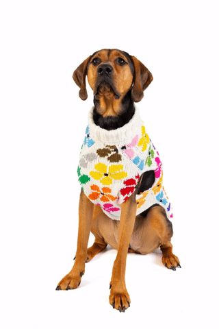 Bloom Dog Sweater Spring Flowers Design – photo 2 of 6
