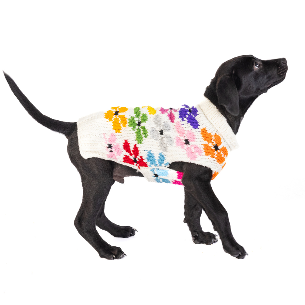 Bloom Dog Sweater Spring Flowers Design – photo 1 of 6