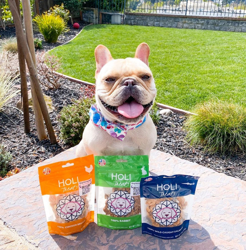 Freeze-Dried Rabbit Dog Treats – alternate view 5
