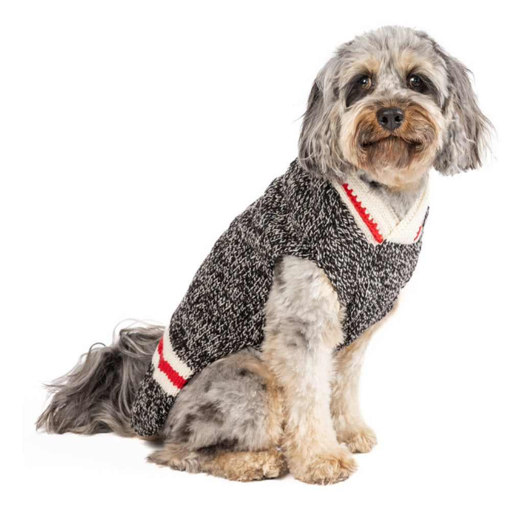 Boyfriend Dog Sweater Black and White Wool with Red Trim – photo 1 of 5
