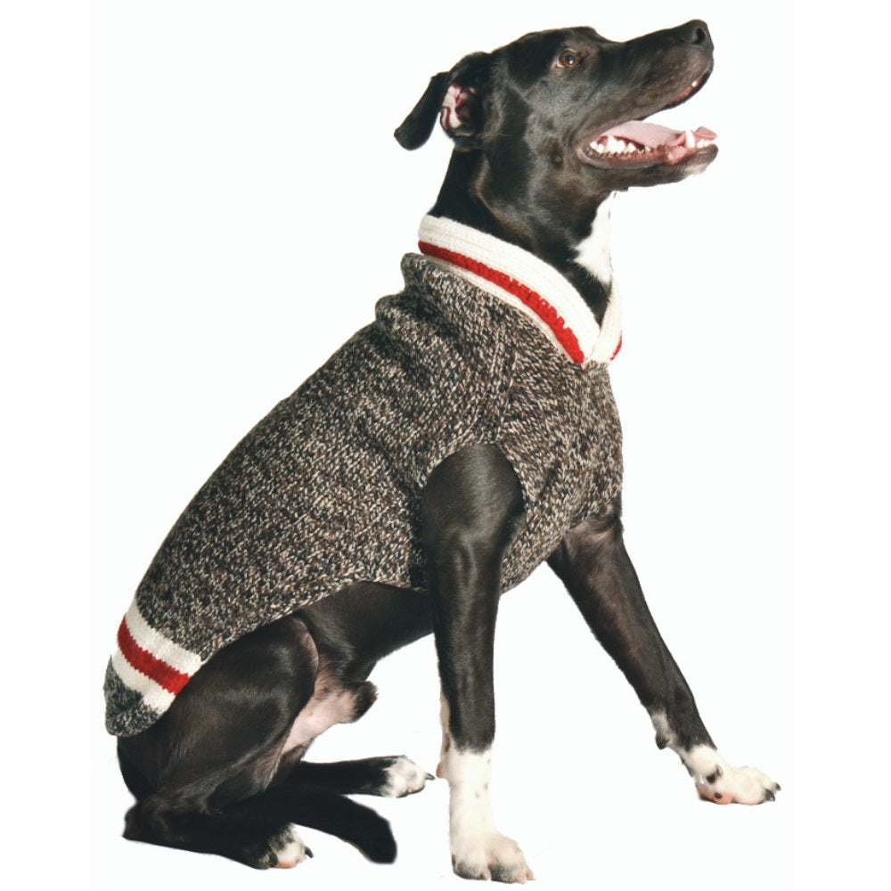Boyfriend Dog Sweater Black and White Wool with Red Trim – photo 2 of 5