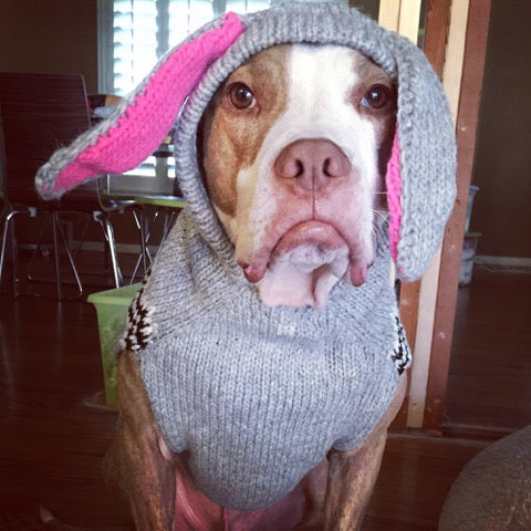 Bunny Hoodie Dog Sweater Grey and Pink – photo 3 of 3
