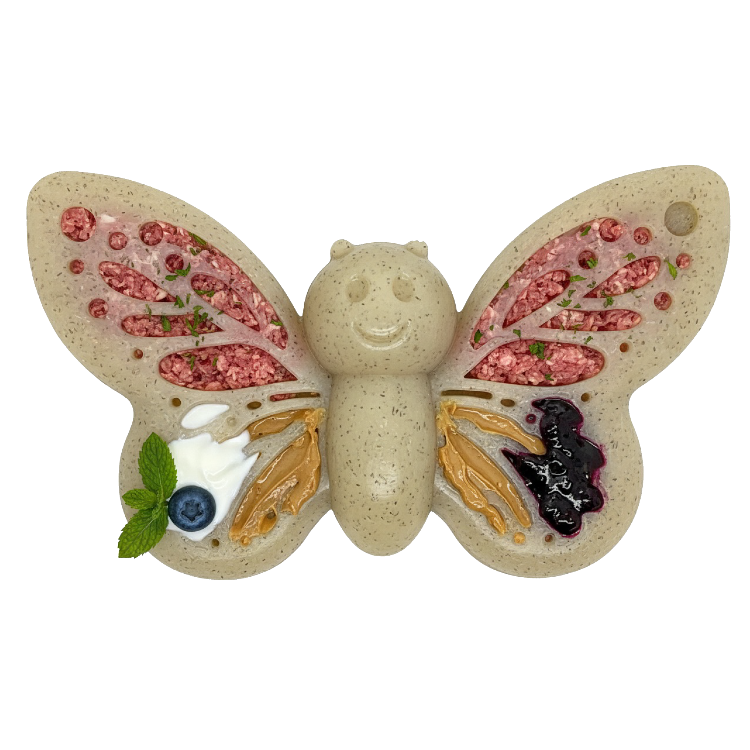 SodaPup Butterfly nylon chew and enrichment toy – photo 1 of 12