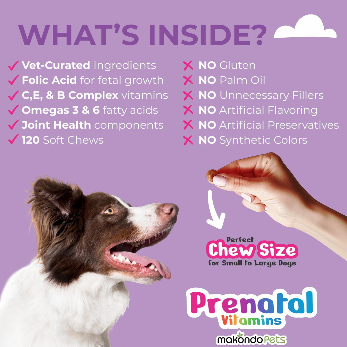 Dog Prenatal Vitamins 120 Soft Chews Folic Acid DHA EPA – photo 4 of 9
