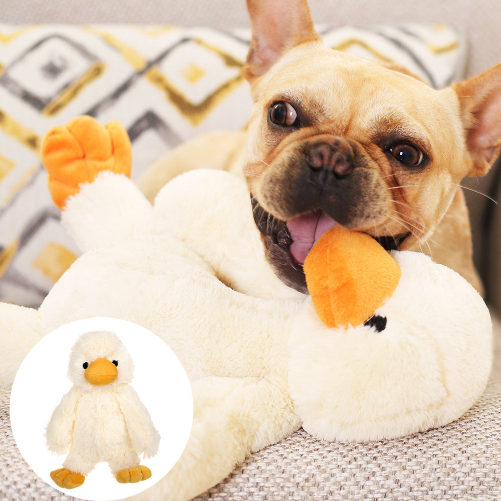 Plush Dog Toys – front view