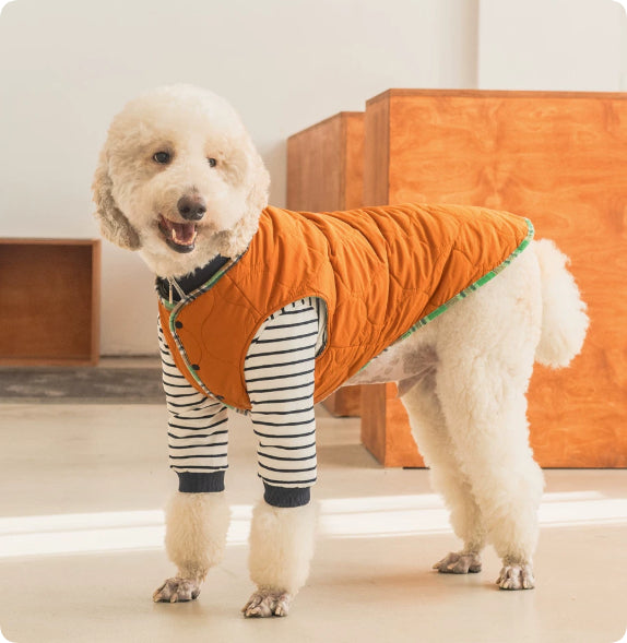 Thermal Dog Clothing for Large Dogs Green Navy – photo 4 of 6