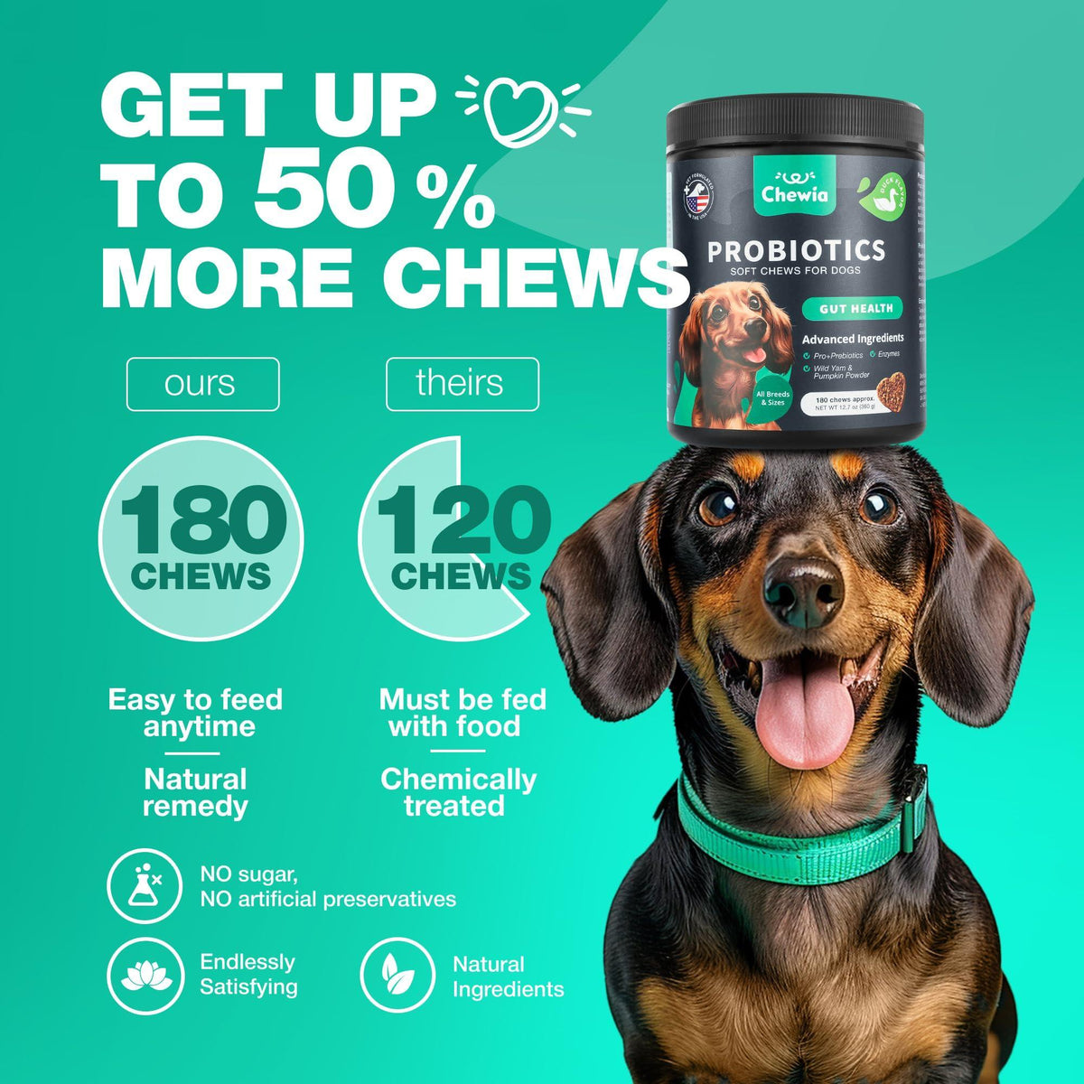 Probiotics for Dogs Digestive Support Pumpkin and Enzymes – photo 5 of 8